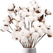 Domestar Cotton Stems, Natural Dried Cotton 8 Packs Total 15 Bolls Cotto... - $29.99