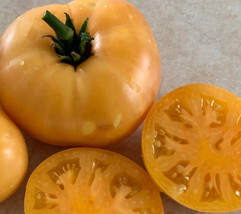 New Fresh 50 Seeds Orange Cream Tomato Vegetable Tomatoe Garden - $7.00