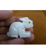 (y-BUN-200) white BUNNY RABBIT Alabaster stone FIGURINE love rabbits HOP... - $13.09