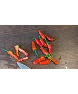 SEED- Apache Hot Pepper- Smoky, Sweet, Dwarf Hot Pepper Plant for Pots o... - €3,14 EUR+