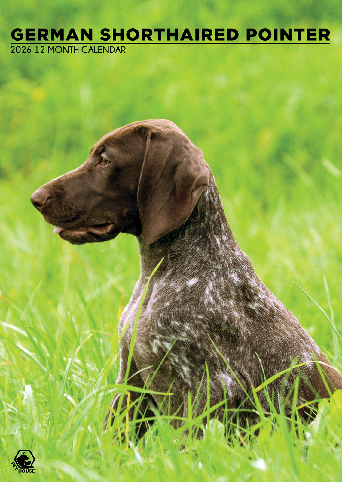 German Shorthaired Pointer Calendar 2026 - $19.99