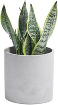 With A Drainage Hole And A Height Of 5 Inches, The Tagobar Plant Pots Planter - £25.29 GBP