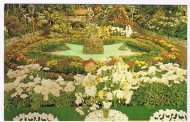 Missouri Postcard Saint Louis Chrysanthemum Display Jewel Box Forest Park - £1.74 GBP