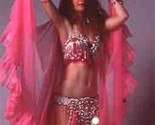 Belly Dancer Exotic Dancer 35mm Color Slide Mounted in a Pakon Plastic H... - $27.72