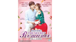 My Secret Romance  Vol.1-13 END DVD [Korean Drama] [English Sub]  - £27.81 GBP