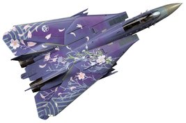 ACE COMBAT 1/72 F-14D Tomcat &quot;Cherry Blossom&quot; Limited Edition - £29.59 GBP