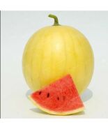 20PCS Gold Skin Watermelon Seeds -Yellow/Royal Golden Skin Watermelon Seeds - $5.65
