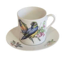 Vintage Mottahedeh Birds Aviary Flat Tea Cup and Saucer - £15.54 GBP
