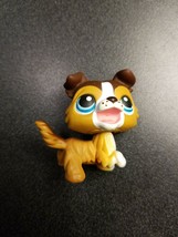 Lps Littlest Pet Shop Rare Magnetic Open Mouth Collie #237 - £19.58 GBP