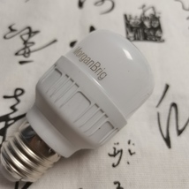MorganBrig lamps-Live Brighter image 4