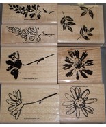 Stampin Up Petal Prints - £14.35 GBP