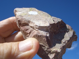 JTL JURASSIC TODILTO LIMESTONE URANIUM ROCK: 6.6 oz  26k   $23.00 + $9.5... - $23.00