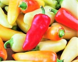 Santa Fe Grande Pepper Seeds Spicy Guero Yellow Hot Chili Vegetable Seed  - £4.65 GBP