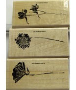 Stampin Up More Petal Prints - $12.20