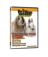 The Essential Guide to Caring For Your Rabbit Pet Dvd 731555715773 - £10.22 GBP