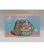 2020 Winter Box Pusheen Box Flyer - $9.89