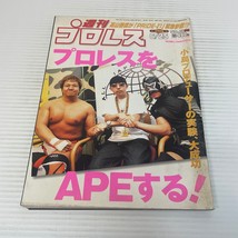 Baseball Magazinesha Wrestling Japanese Magazine Hulk Hogan Vol 1095 June 2002 - £21.97 GBP