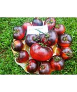 20 seeds, OSU BLUE Heirloom Tomato seeds - $5.00