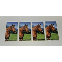 Sept 2013-Dec 2014 Horse Pocket Calendar Lot Prop (dates line up with 2024/2025) - £11.79 GBP