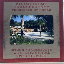 35mm Slide Photograph Cadillac Florida 1950s Men And Women In Bathing Suits - $174.28 MXN
