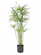 EUROPALMS Cypress Glass, Artificial, 76cm - £46.24 GBP