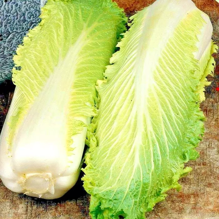 SGH 601 Michihili Cabbage Organic Asian Spring Fall Vegetable Planting Seeds - £6.91 GBP