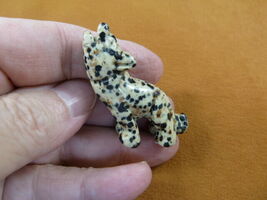 Y-COY-ST-552) spotted COYOTE gemstone carving FIGURINE gem stone lil Coy... - €13,46 EUR