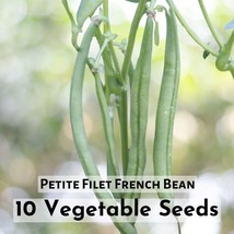 10 Seeds Petite Filet French Bean - $11.03 CAD