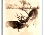 RPPC Deer With Locked Horns Winter Landscape UNP Postcard H26 - $2.92