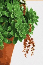 Pepita Needlepoint kit: Succulent Plant, 9&quot; x 14&quot; - £68.95 GBP+