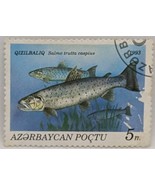 1993 Azerbaijan Caspian Trout 5m Postmark Stamp - $10.00