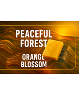 Orange Blossom Swirl Bar Soap - $6.50