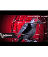Life Size ANIMATED CROW RAVEN BIRD CAGE Halloween Haunted House Prop Dec... - £52.97 GBP