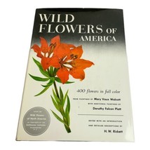 Wild Flowers of America  HC 1953 1st Ed Rickett &amp; Walcott 400 Full Color... - $29.00