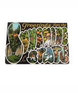 Florida Sunshine Set 1920s Fold-Out Postcards Mint Condition Unused Oran... - $16.93