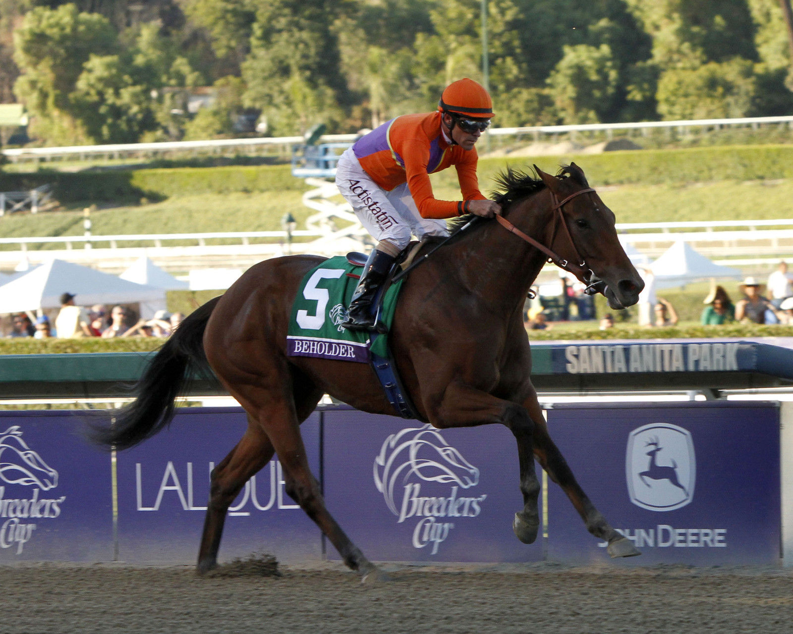 Primary image for 8x10 Color photo DISTAFF WINNER - BEHOLDER