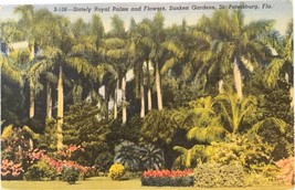 Postcard, St. Petersburg, FL, Stately Royal Palms and Flowers, Sunken Ga... - $9.99