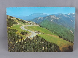 Vintage Postcard - Hurricane Ridge Olympic National Park - Dexter Press - £11.88 GBP