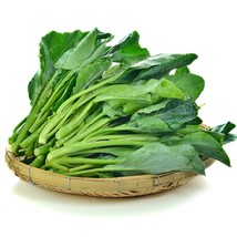 Chinese Big Stem Broccoli Heirloom Seeds Open Pollinated Vegetable Seeds Seeds N - $13.95