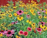 2000 Seeds Pollinator Mix Seeds 17 Native Wildflowers Annual Perennial G... - $8.99