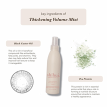 SHIBUI Thickening Volumizing Mist, Adds Volume, Bounce & Shine, Color-Safe image 3
