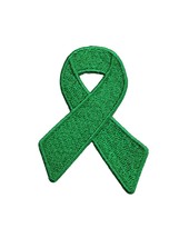 Awareness Ribbon Kidney Disease Dialysis Transplant Embroidered Iron On Patch - £4.73 GBP+
