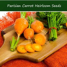 USA Seller Fresh Vegetable Seeds Parisian Carrot Seeds 100 Seeds Round S... - £12.65 GBP