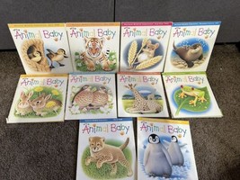 lot of 18 Wild Animal Baby Picture Books National Wildlife Federation - £19.42 GBP