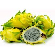 100 Seeds Heirloom Yellow Dragon Fruit Hybrid Pitaya for Garden - $10.00