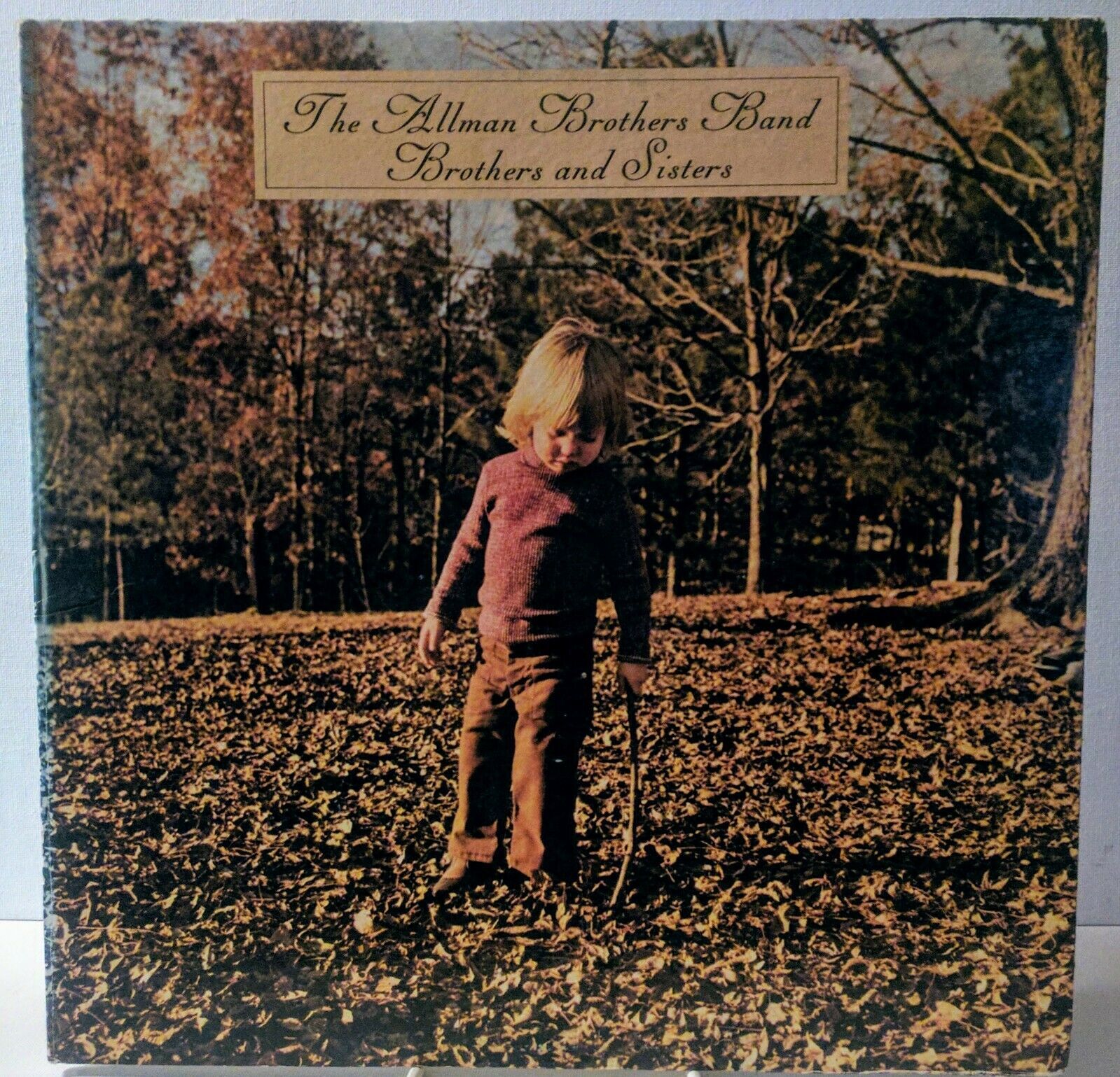 Primary image for The Allman Brothers Band Brothers and Sisters Capricorn CP 0111 VG+ SLEEVE ONLY