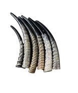 1 Waterbuck Shofar Kosher-Made Horn Shofar, Yemenite  Horn Judaica Shofar - $2,649.30 MXN