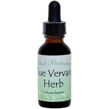 Pure Herbs: Blue Vervain - 4 oz. (Natural Herbal Extracts) image 2