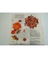 Autumn foliage appliques fabric craft panel leafs flowers bouquet V.I.P.... - $19.75