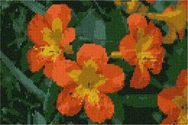 Pepita Needlepoint Canvas: Orange Flowers, 10&quot; x 7&quot; - £40.09 GBP+